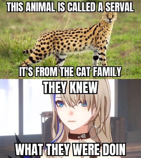 Pussy R Okbuddytrailblazer