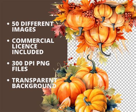 Pumpkin With Autumn Vibes PNG Bundle 50pc Watercolor Autumn Etsy