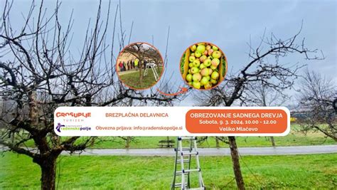 Te Aj Obrezovanja Sadnega Drevja Radensko Polje Krajinski Park