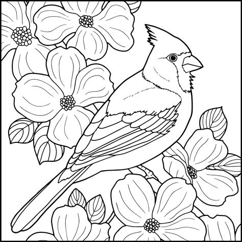 Разукрашки птицы - 79 фото