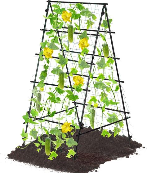 Amazon Pcs Garden Trellis For Climbing Plants Outdoor A Frame