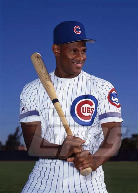 Sammy Sosa Chicago Cubs Chicago Cubs Baseball Sammy Sosa