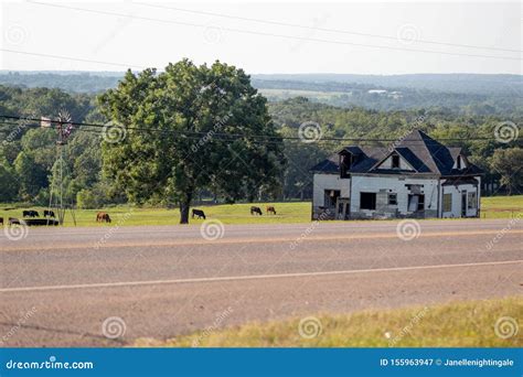 Landscape With Cows In Ardennes Region Of Belgian Part Wallonia In Summer Royalty-Free Stock ...