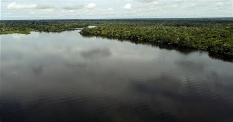 Deforestation In Brazils Amazon Region Drops Nearly 34 Philippine