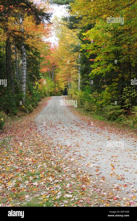 Milan Hill State Park In Milan New Hampshire Usa During The Autumn