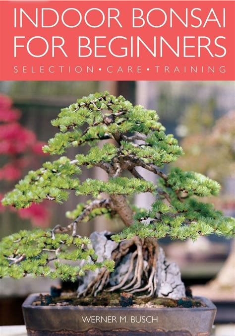 Indoor Bonsai For Beginners Werner M Busch – Lucky Bonsai