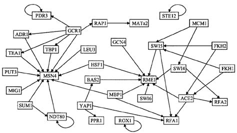 Yeast Transcriptional Regulatory Network Boxes Indicate Regulator