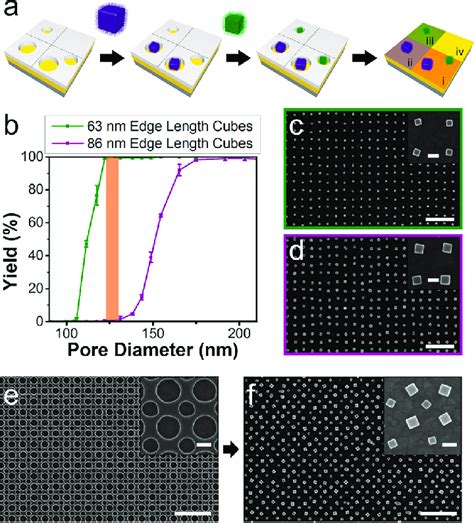 Assembly Of Two Sizes Of Gold Nanocubes On Gold Substrates At Precisely