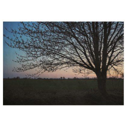 Tree Silhouette at Sunset Wood Poster | Tree silhouette, Sunset sky ...