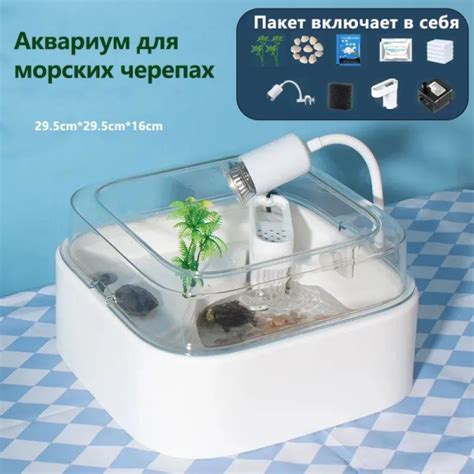 Аквариум для морских черепах: домашний декоративный контейнер ...