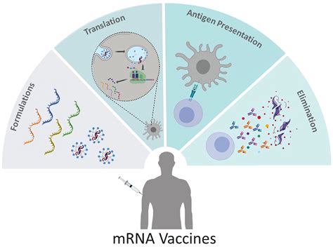 Immunotherapy Targets Emerging Infectious Diseases