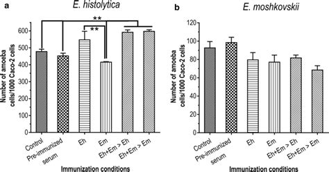 Adhesion Of E Histolytica And E Moshkovskii To Caco 2 Cells Download Scientific Diagram