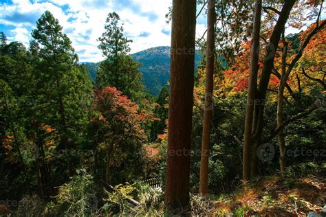 Picturesque scene of autumn in Japan 12791999 Stock Photo at Vecteezy