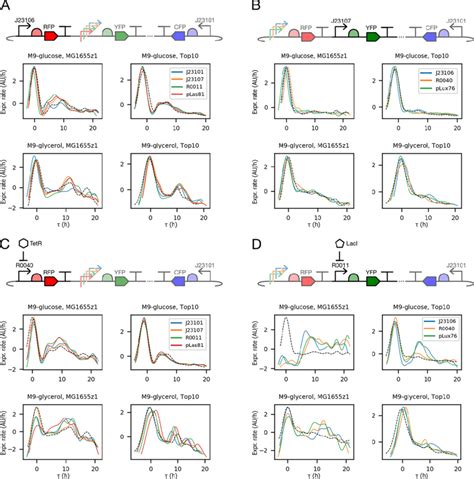 The Gene Expression Profile Shape Reconstructed From Experimental Data Download Scientific