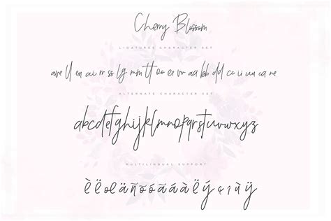 Cherry Blossom Script Stunning Script Fonts Creative Market