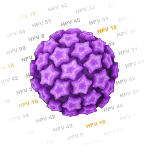 Detección Molecular Y Genotipo Virus Papiloma Humano Centro Fiv