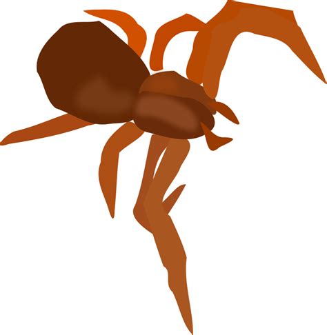 Spider - Openclipart