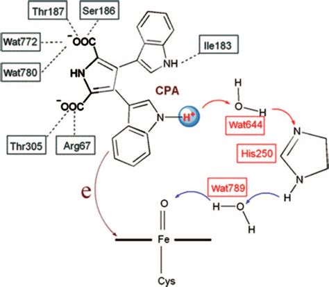 Schematic Representation Of The Proton Coupled Electron Transfer Pcet Download Scientific