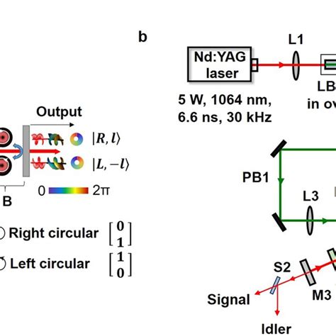 Vector Vortex Beam Optical Parametric Oscillator A Pictorial