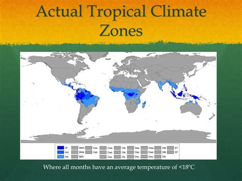 Ppt Tropical Climate Powerpoint Presentation Free Download Id 3455215