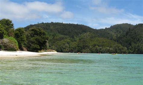 Abel Tasman Kayakers Photo Of Tasman Nelson New Zealand At Kiwiwise