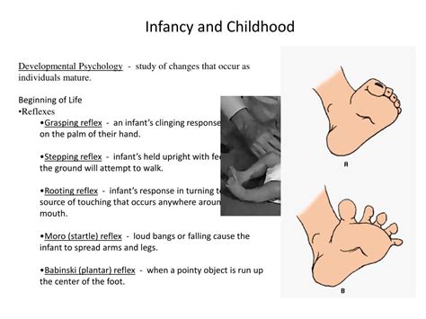 Ppt Infancy And Childhood Powerpoint Presentation Free Download Id