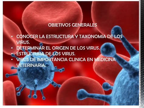 Ppt Virologia Veterinaria Powerpoint Presentation Free Download Id