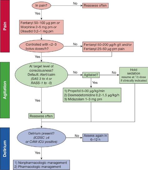 Diagnosis And Treatment Of Pain Agitation And Delirium In The Intensive Care Unit Thoracic Key