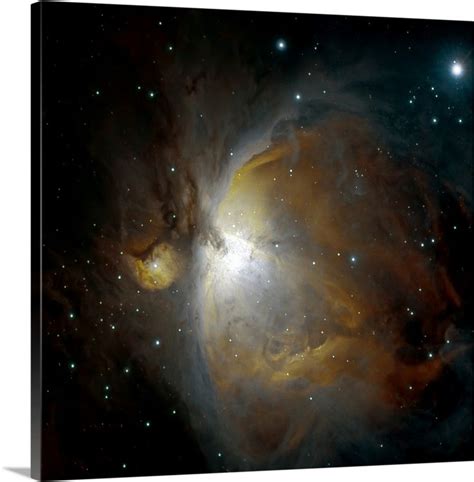 M42 nebula in Orion | Nebula, Orion nebula, Wall art prints