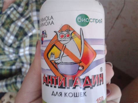 Антигадин для кошек: инструкция по применению, какой лучше, как сделать ...