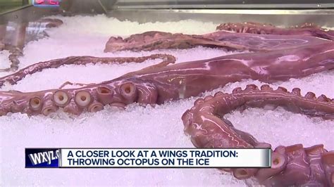 A Closer Look At Wings Tradition Of Throwing Octopus On The Ice YouTube