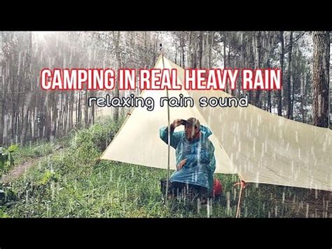 Solo Camping In Real Heavy Rain Relaxing Rain Camping Asmr Youtube