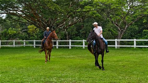 AMIGOS HORSE RIDING SCHOOL | Maybe it is time to reconnect with nature.