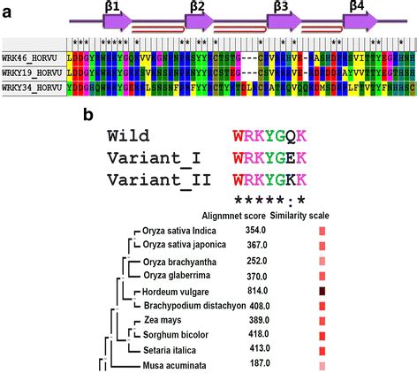 Sequence alignment of the WRKY domain (a) from HvWRKY46 (wild WRKY ...