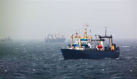 TANMAR