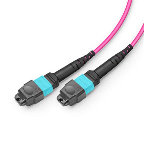 5m 16ft Mtp® Conversion Cable Mtp® 24 Upc Female To 2 X Mtp® 12 Upc Female 24 Fibers