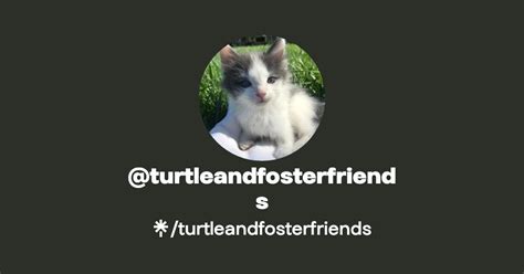 Turtleandfosterfriends Instagram Tiktok Linktree