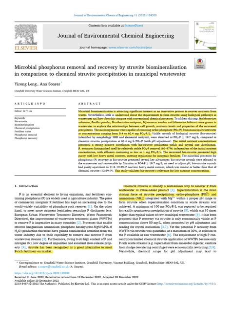 Microbial Phosphorus Removal And Recovery By Struvite Biomineralisation