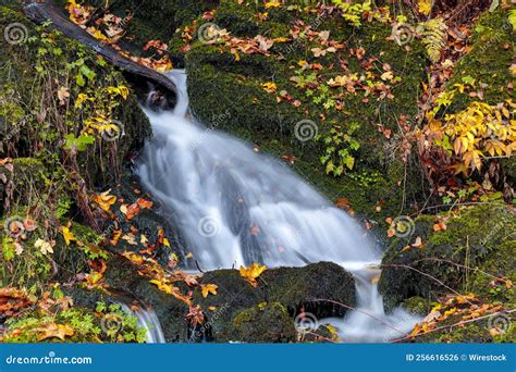 Cascada En Las Rocas De La Mezquita En Un Bosque Foto De Archivo