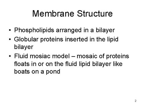 Membranes Chapter 5 Membrane Structure Phospholipids Arranged In