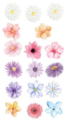 Dibujos De Flores Aesthetic Para Dibujar