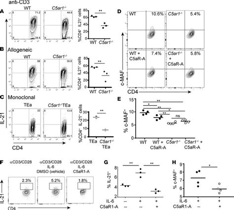 Jci Insight C5ar1 Regulates T Follicular Helper Differentiation And Chronic Graft Versus Host