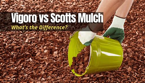 Vigoro vs Scotts Mulch | What’s the Difference? - The Backyard Pros