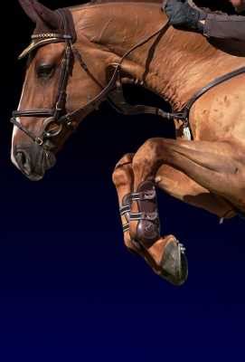 Equitaci N Longines Global Champions Tour M Xico Programa O De Tv