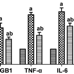 Mrna Expression Of Hmgb Tnf And Il In Rat Myocardial Tissues In