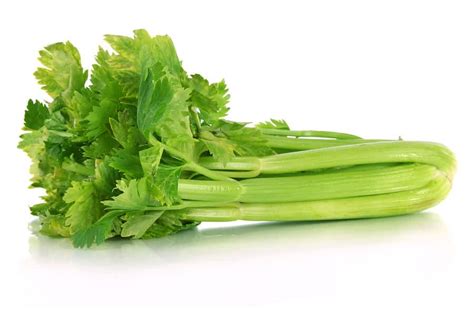 Benefits Of Celery Nutrition Facts And Recipes Dr Axe