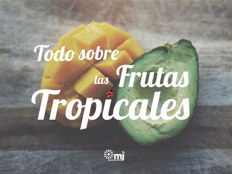 Todo Lo Que Debes Saber Sobre Las Frutas Tropicales MJ Agroasesores