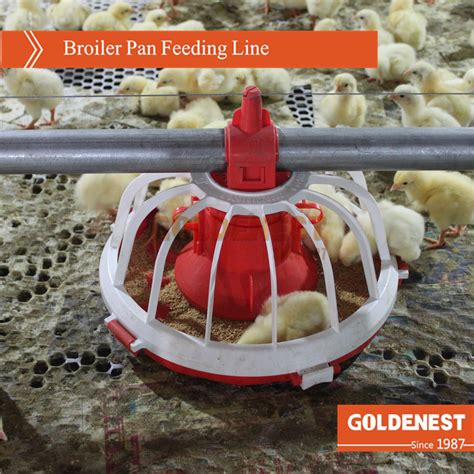 Poultry Feeders And Drinkers Automatic Pan Feeding Line For Broilers