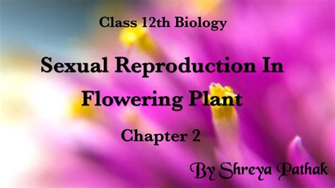 Sexual Reproduction In Flowering Plantstructure Of Flowerlecture 2