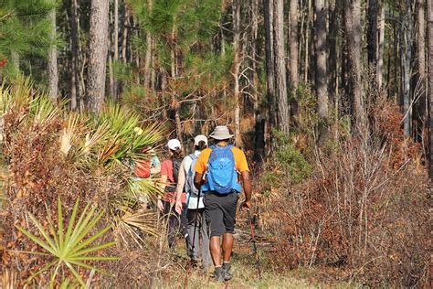 Exploring Wildlife Corridors Along America’s Trails - Rails to Trails ...